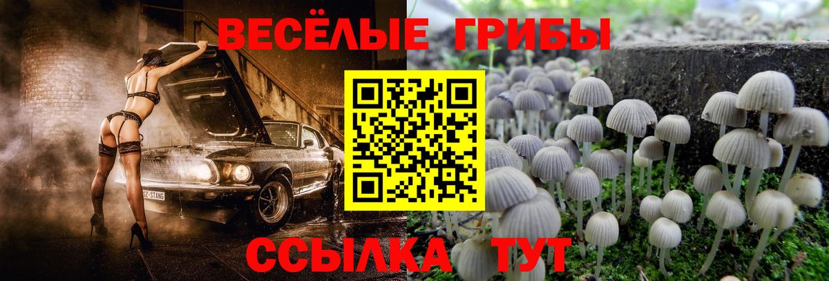 Ливны  Галлюциногенные грибы MAGIC MUSHROOMS  Галлюциногенные грибы Psilocybine cubensis  Вход с VPN 