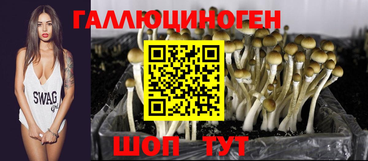 Галлюциногенные грибы Magic Shrooms Ливны